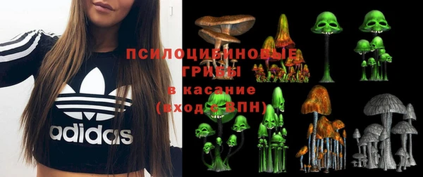 первитин Каменногорск